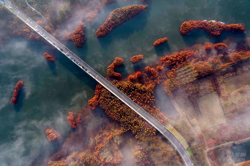 小杨哥：荣华富贵，一场空